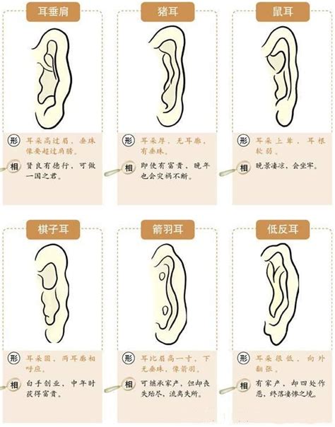 耳 相|十六种耳朵面相图文分析三六风水网